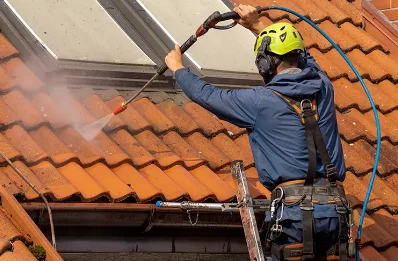 Démoussage et hydrofuge de toiture à Bésayes